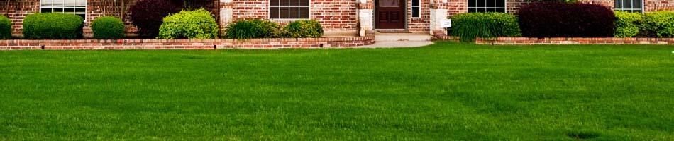 Dark green yard from fertilizing in Lenawee, MI.